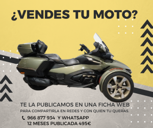 Publicación en ficha web