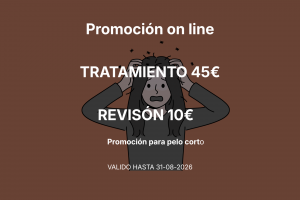 Promoción online hasta 31-08-2026